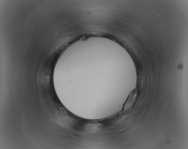 X0000091980595200710041111