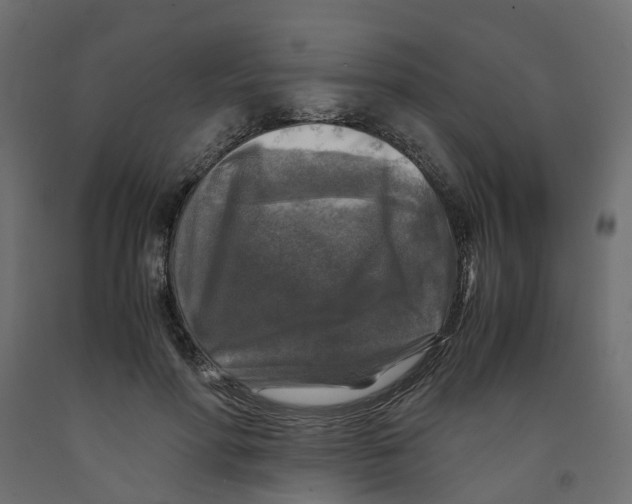 X0000091980598200710041111