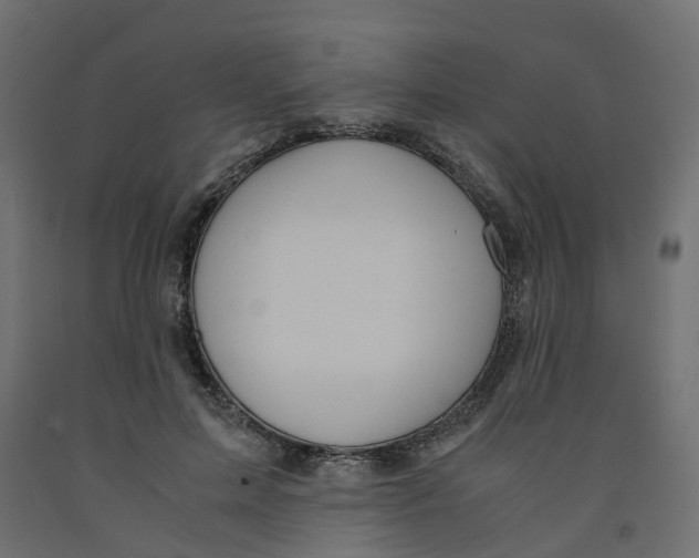 X0000091980599200710041111