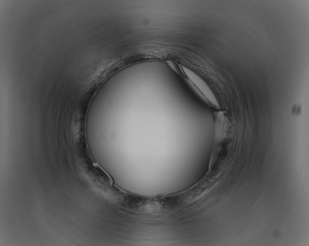 X0000091980600200710041111