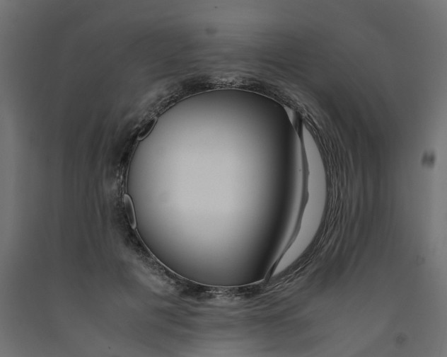 X0000091980601200710041111