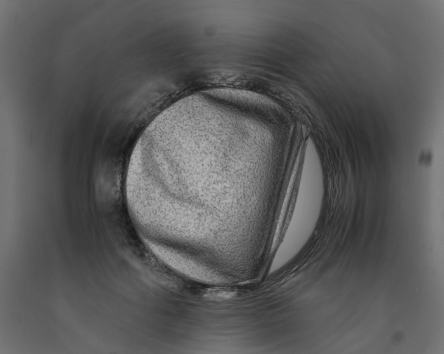 X0000091980602200710041111