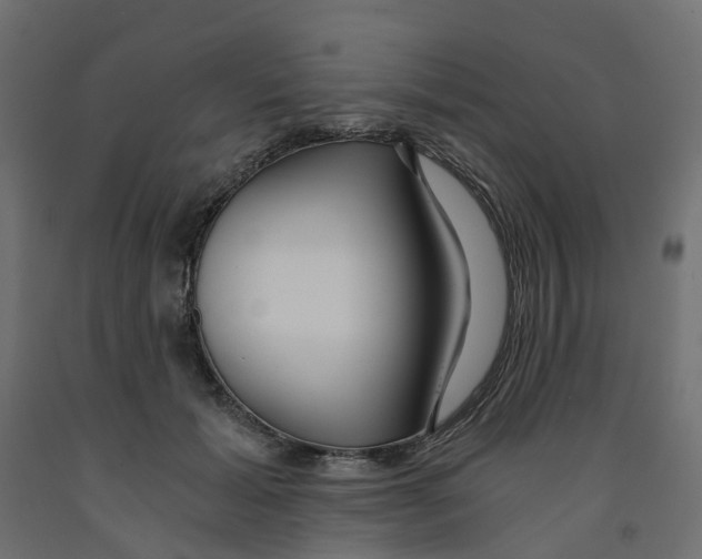 X0000091980605200710041111