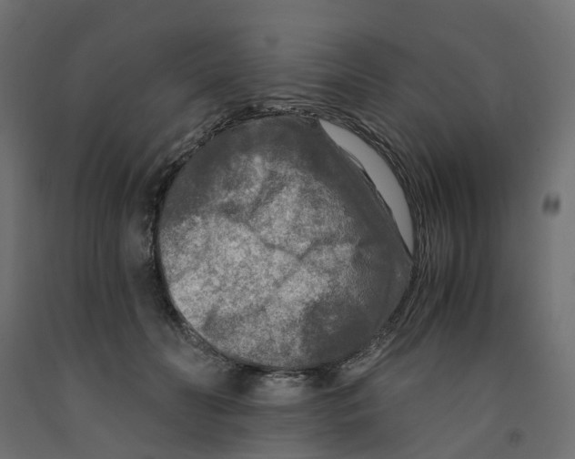 X0000091980606200710041111