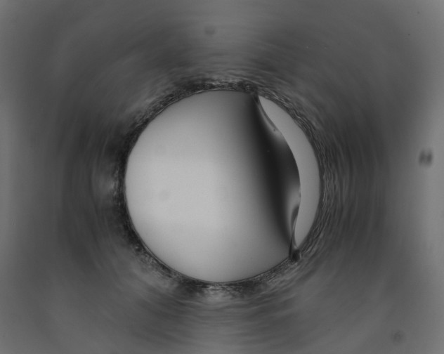 X0000091980608200710041111