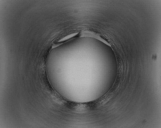 X0000091980609200710041111
