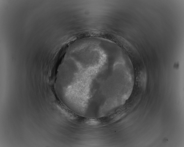X0000091980610200710041111