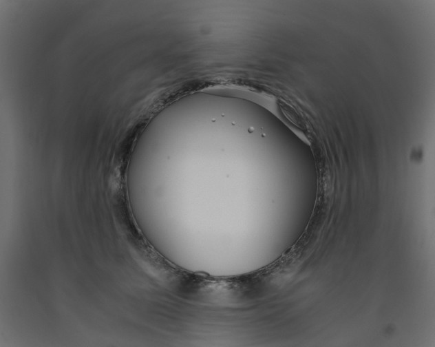 X0000091980611200710041111