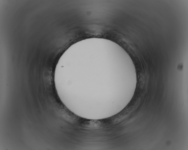 X0000091980612200710041111