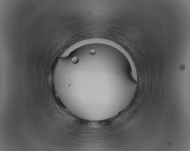 X0000091980613200710041111
