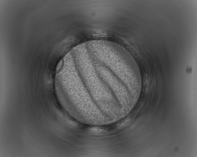 X0000091980614200710041111