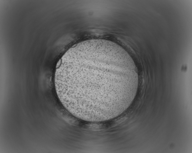 X0000091980615200710041111