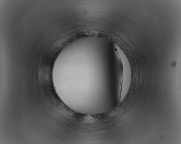 X0000091980616200710041111