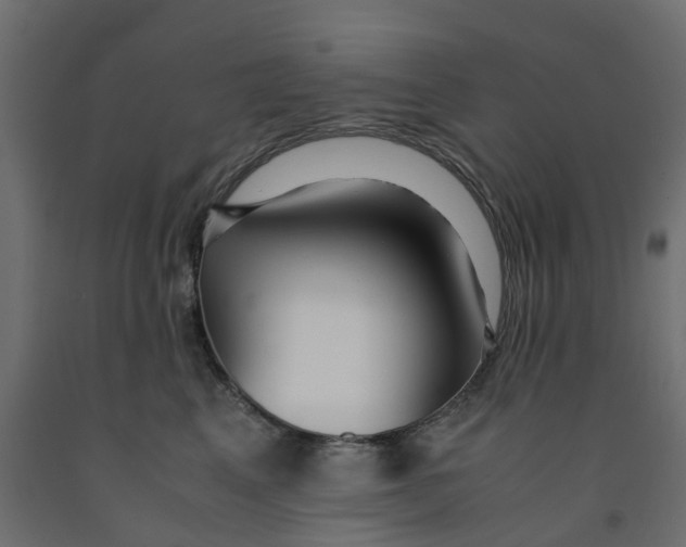 X0000091980617200710041111