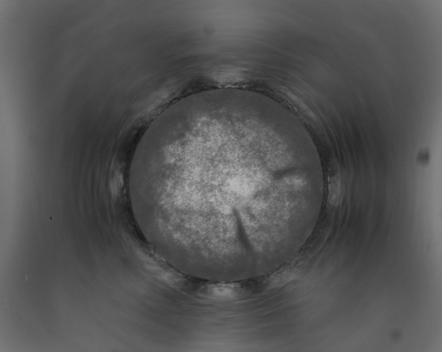 X0000091980618200710041111