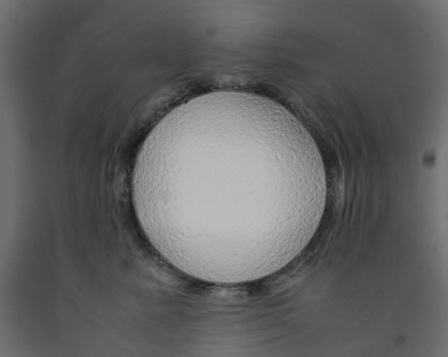 X0000091980619200710041111