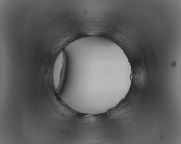 X0000091980620200710041111
