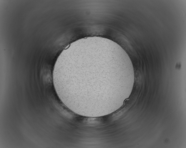 X0000091980622200710041111
