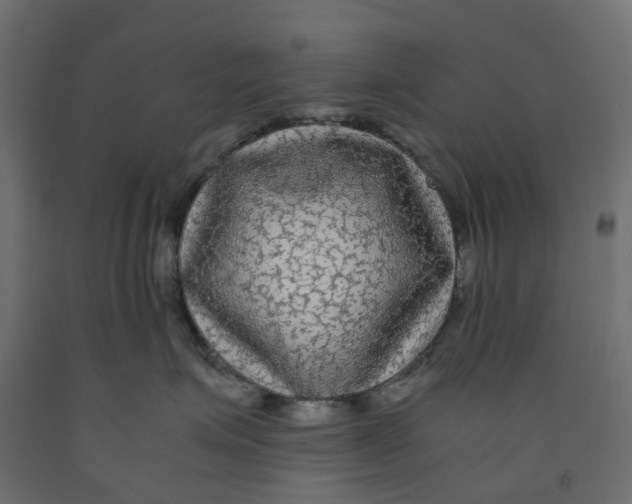 X0000091980623200710041111