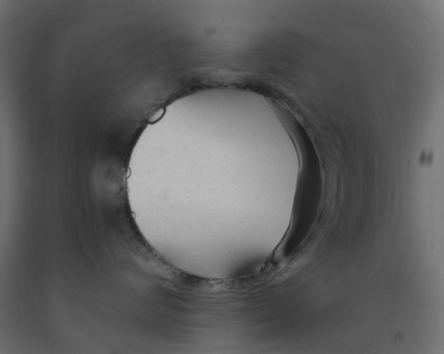 X0000091980624200710041111