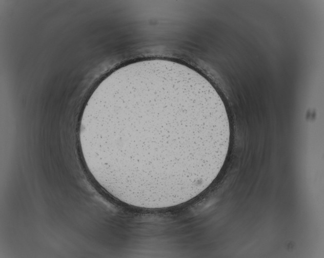 X0000091980625200710041110