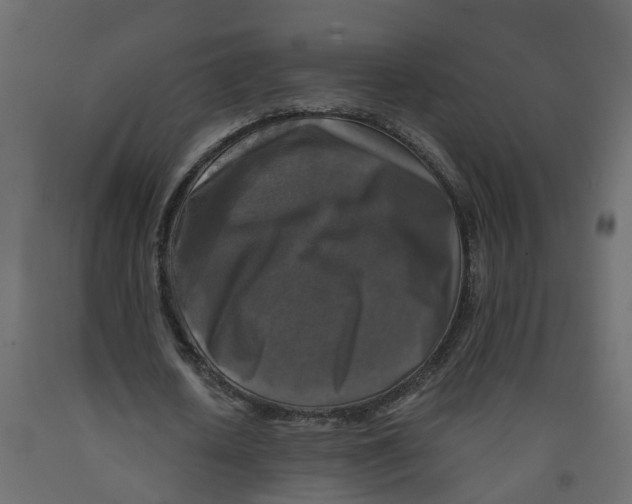 X0000091980626200710041110