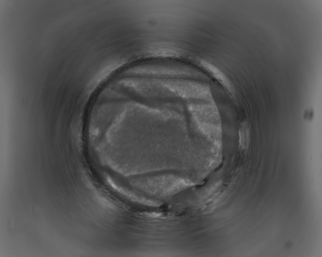 X0000091980627200710041110