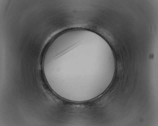 X0000091980628200710041110