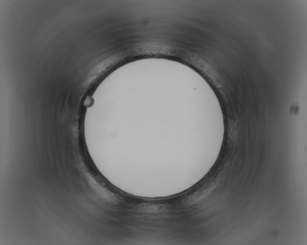 X0000091980629200710041110