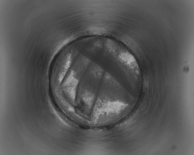 X0000091980630200710041110