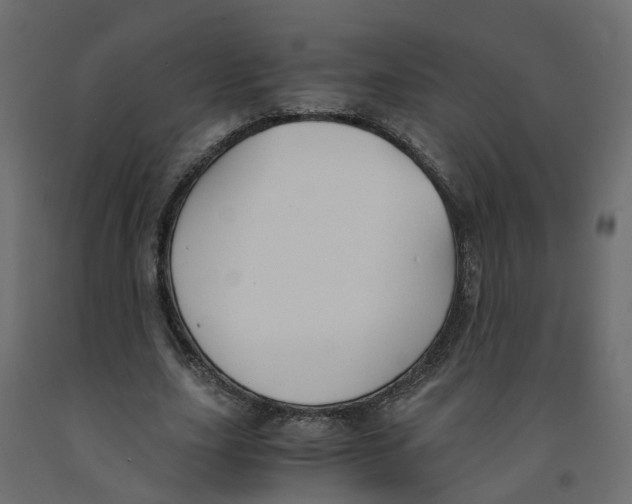 X0000091980631200710041110