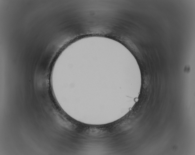 X0000091980632200710041110