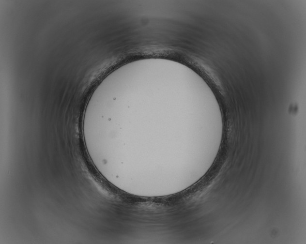 X0000091980633200710041110