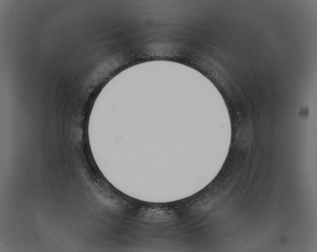 X0000091980635200710041110