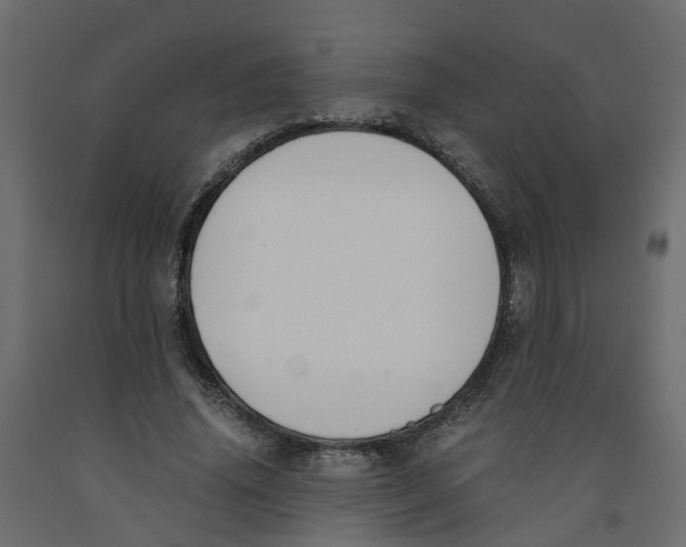 X0000091980636200710041110