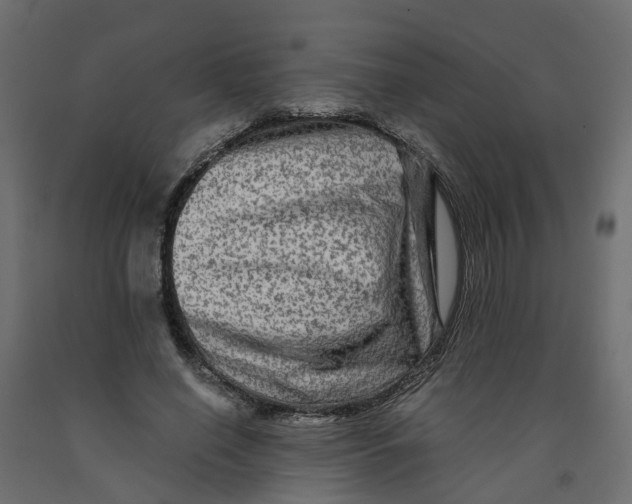 X0000091980638200710041110