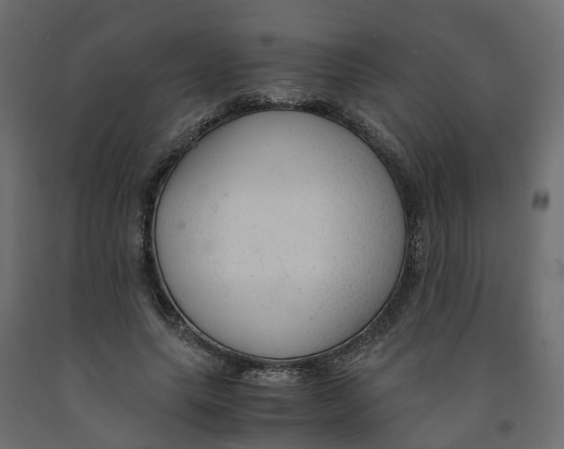 X0000091980639200710041110