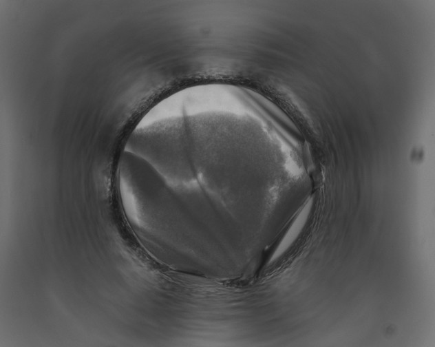 X0000091980640200710041110