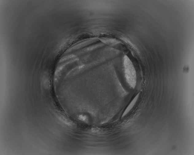 X0000091980641200710041110