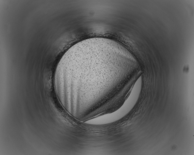 X0000091980642200710041110