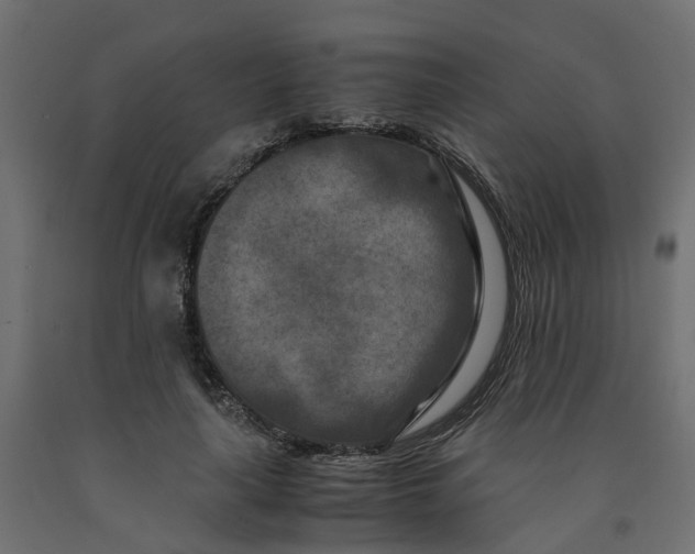 X0000091980643200710041110