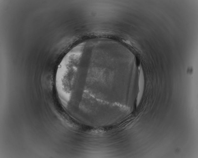 X0000091980644200710041110