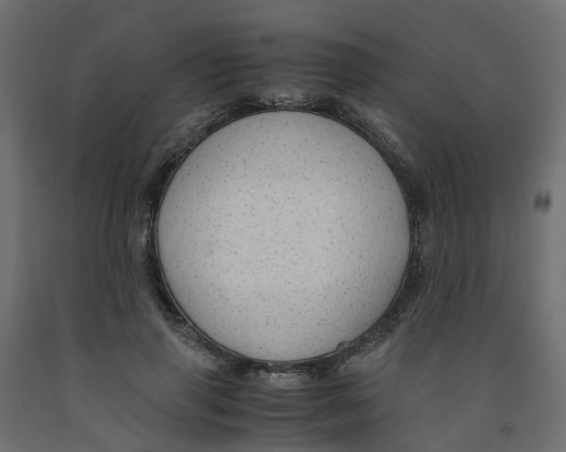 X0000091980645200710041110