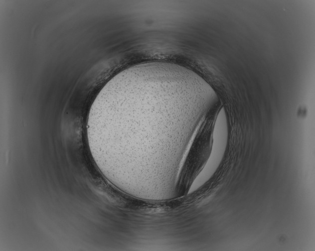 X0000091980646200710041110