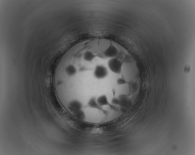 X0000091980647200710041110