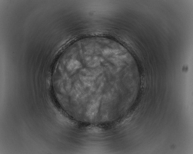 X0000091980648200710041110