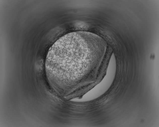X0000091980649200710041110