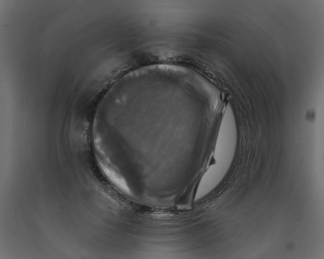 X0000091980650200710041110