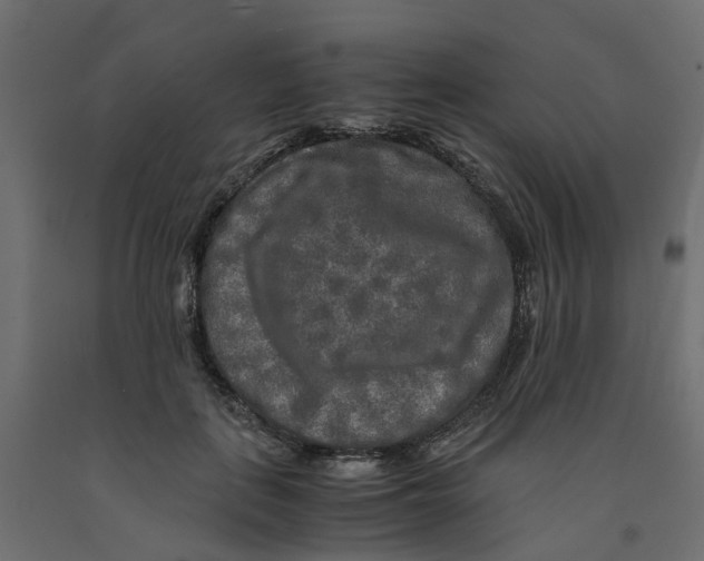 X0000091980651200710041110
