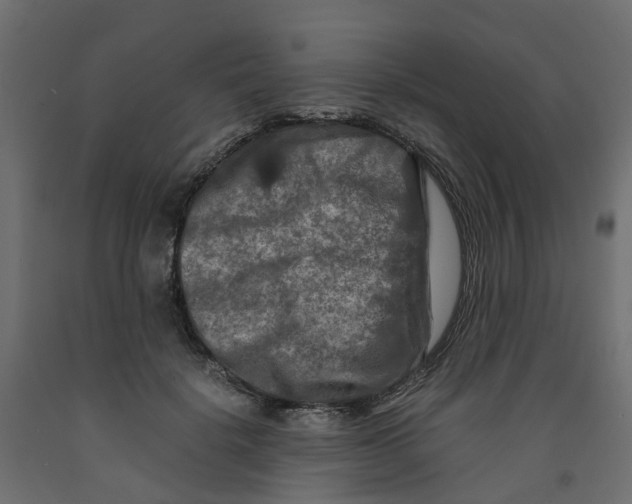 X0000091980652200710041110